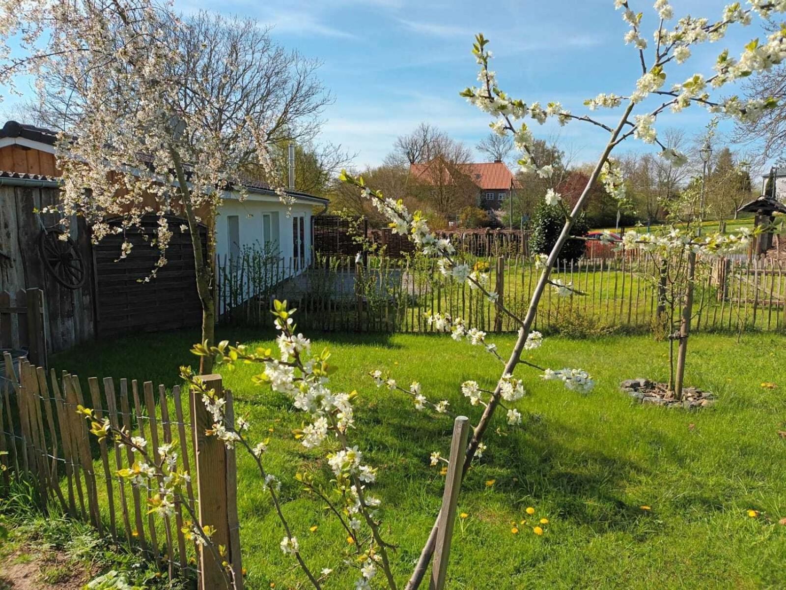 Apfelhof Villa Grundshagen Room photo